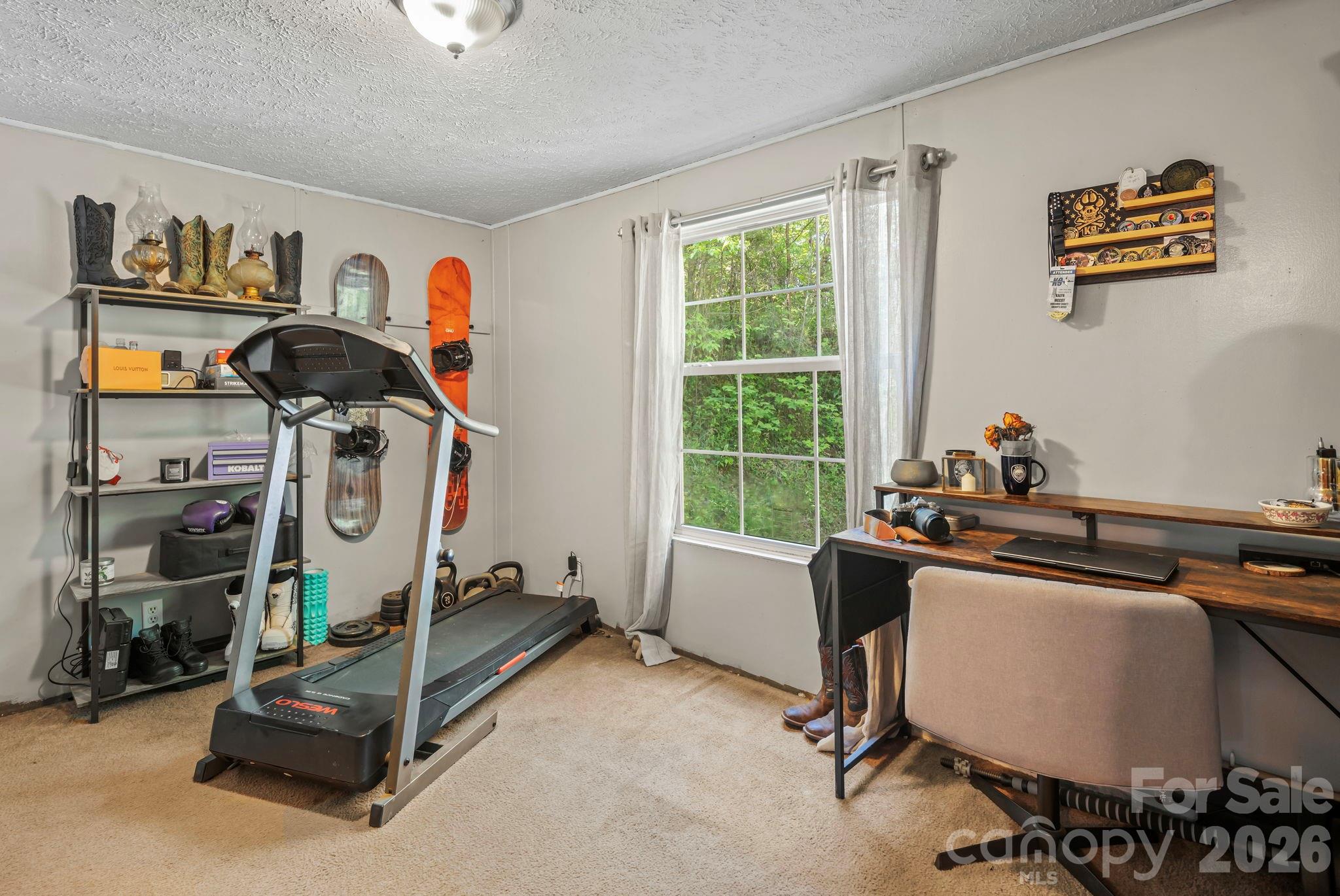 23 Lela Lane Alexander NC 28701
