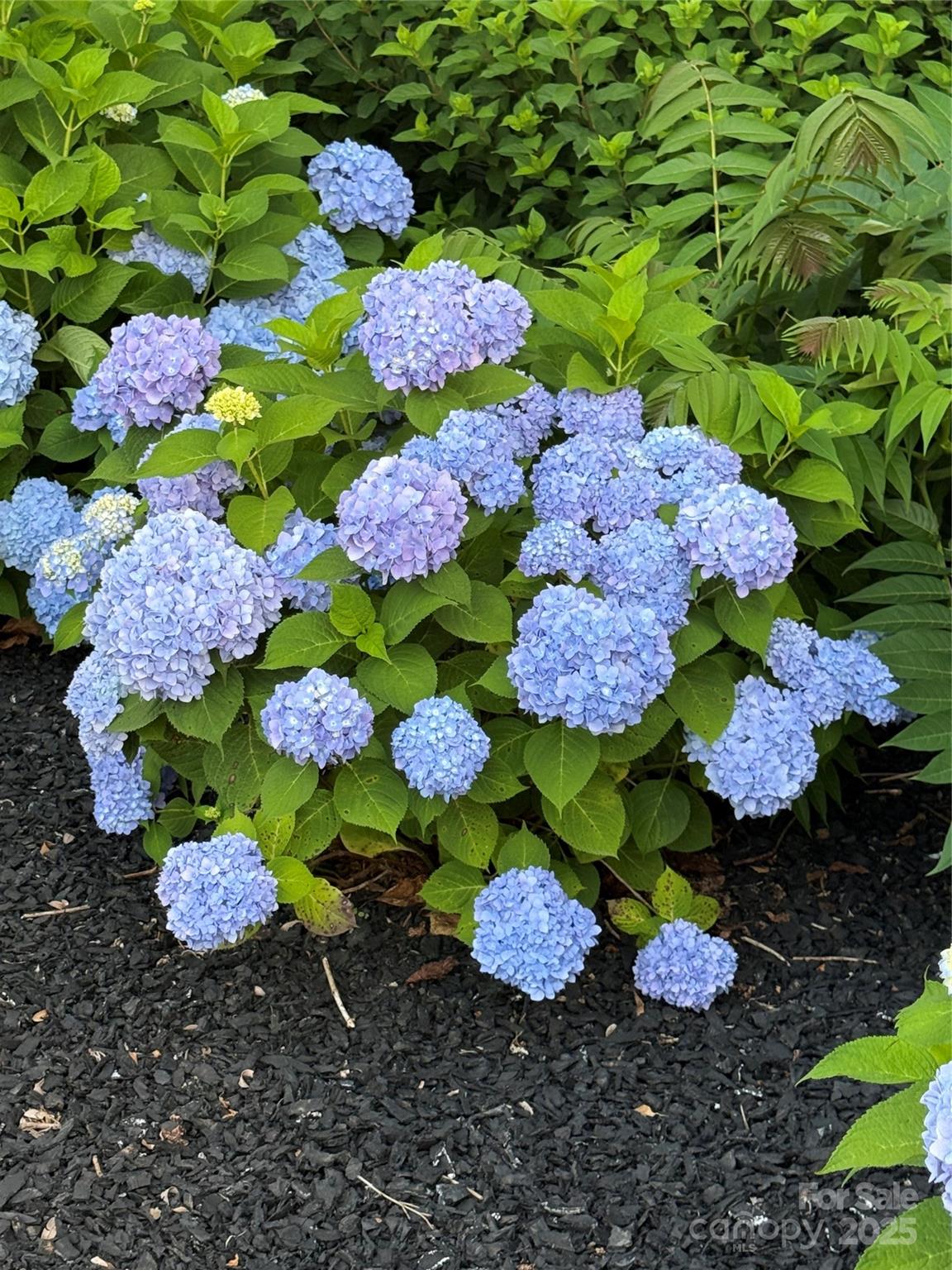 3158 Cane Mill Road Asheboro NC 27205