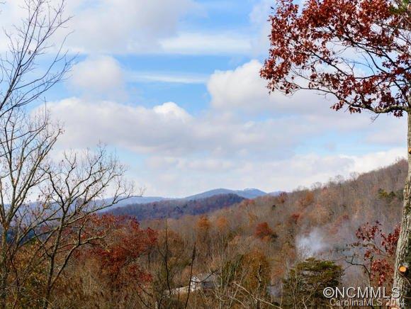 171 Woodburn Drive Swannanoa NC 28778