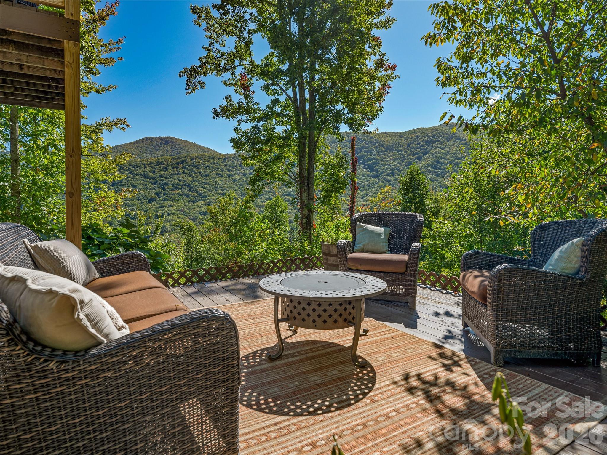 382 Black Oak Cove Road Candler NC 28715