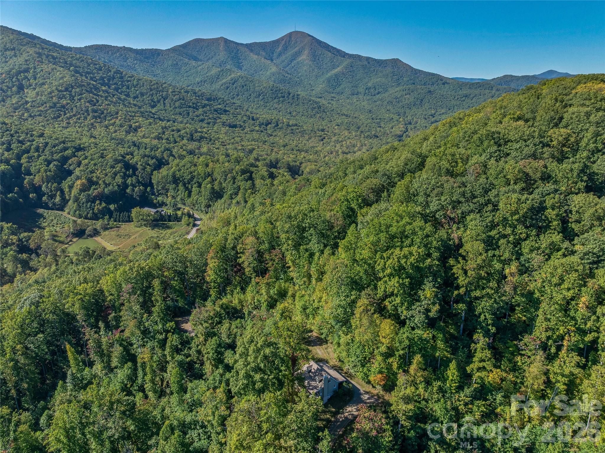 382 Black Oak Cove Road Candler NC 28715