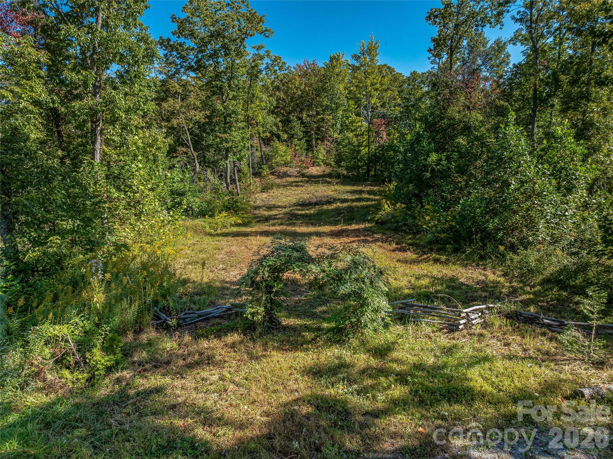 382 Black Oak Cove Road Candler NC 28715