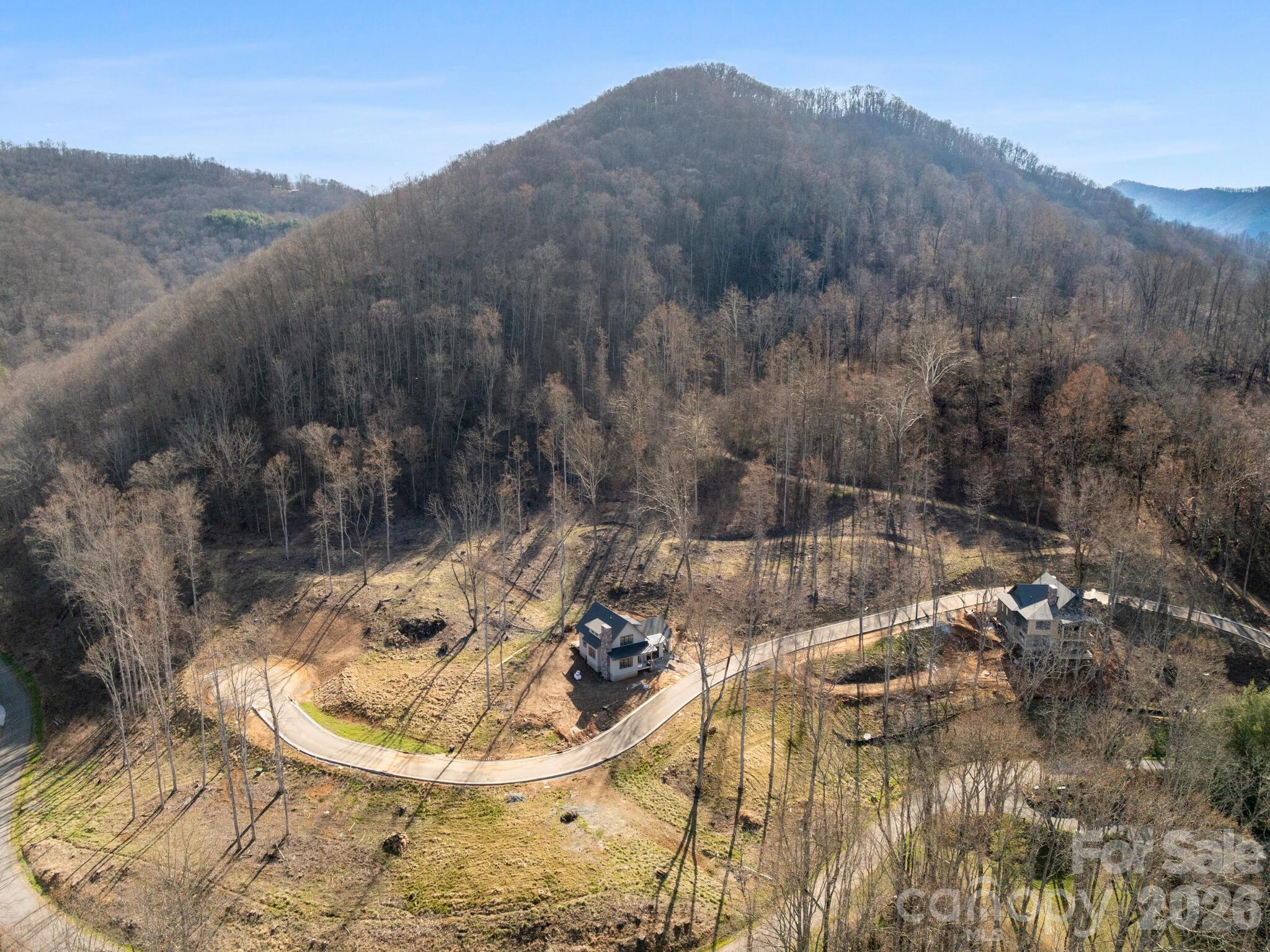 100 Bear Tree Cove Canton NC 28716