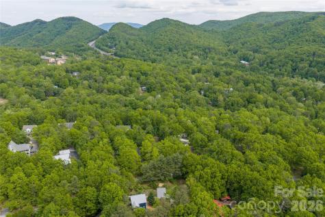 14 Locust Street Black Mountain NC 28711