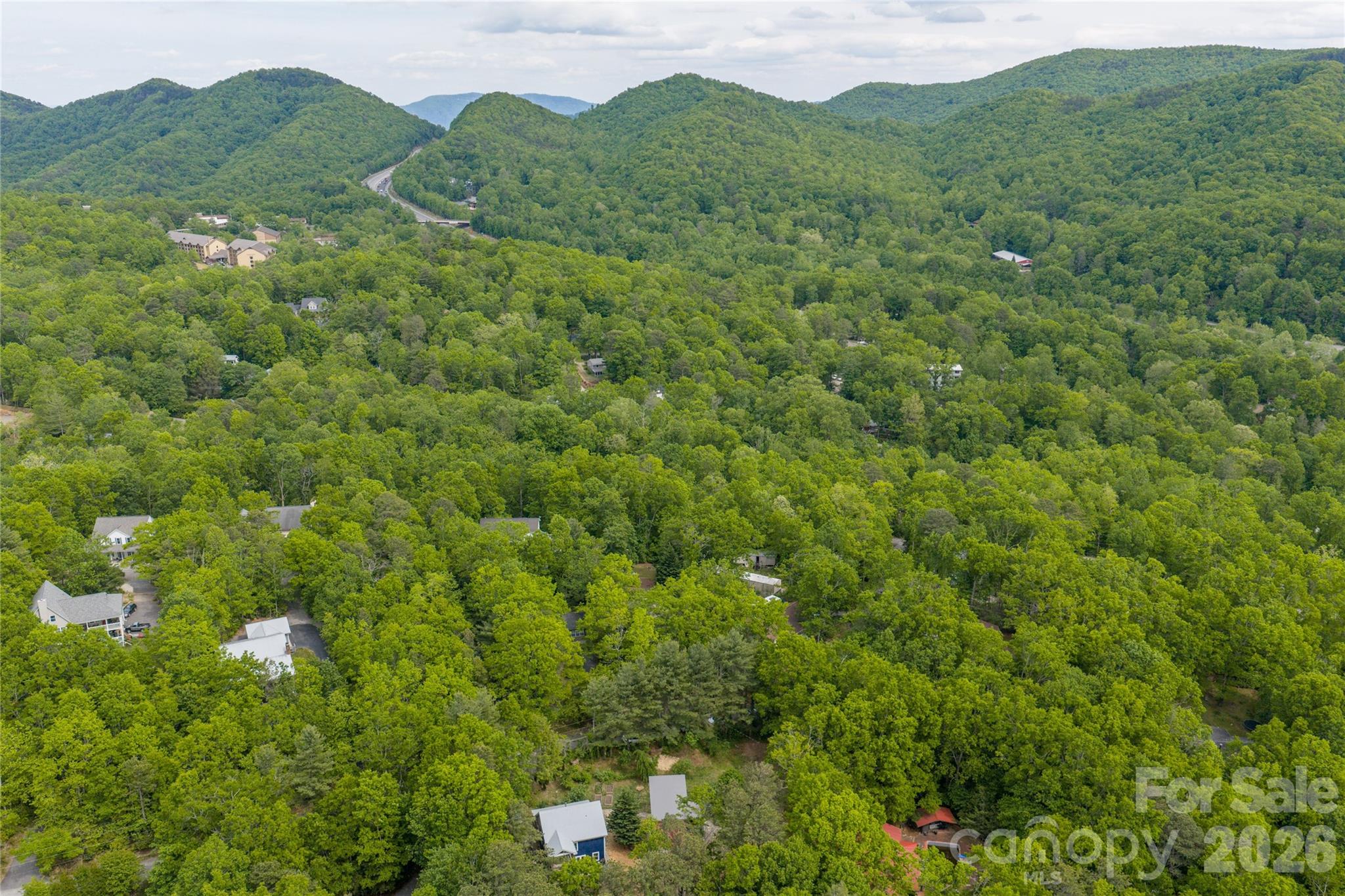 14 Locust Street Black Mountain NC 28711