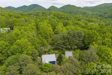 14 Locust Street Black Mountain NC 28711