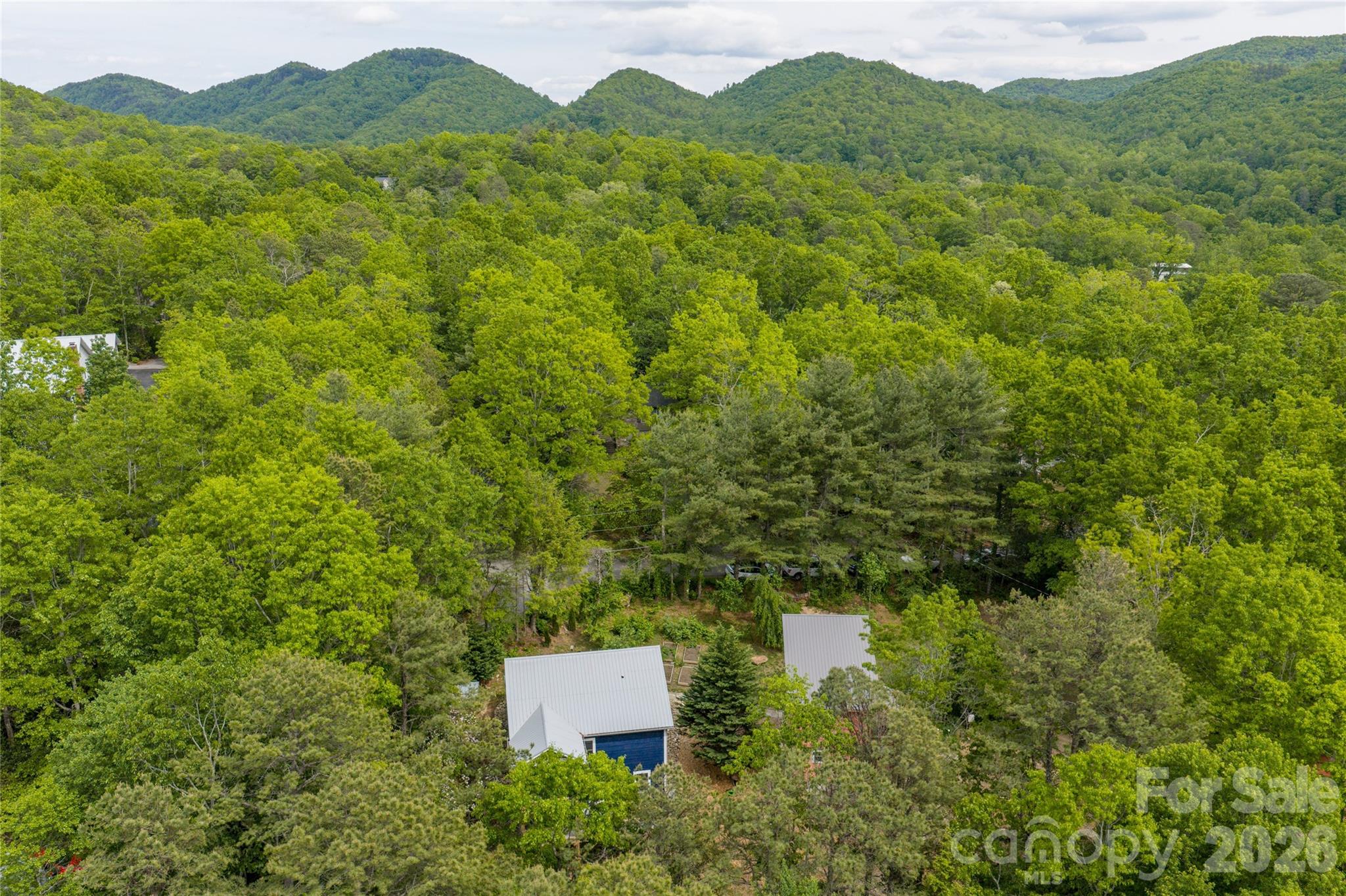 14 Locust Street Black Mountain NC 28711