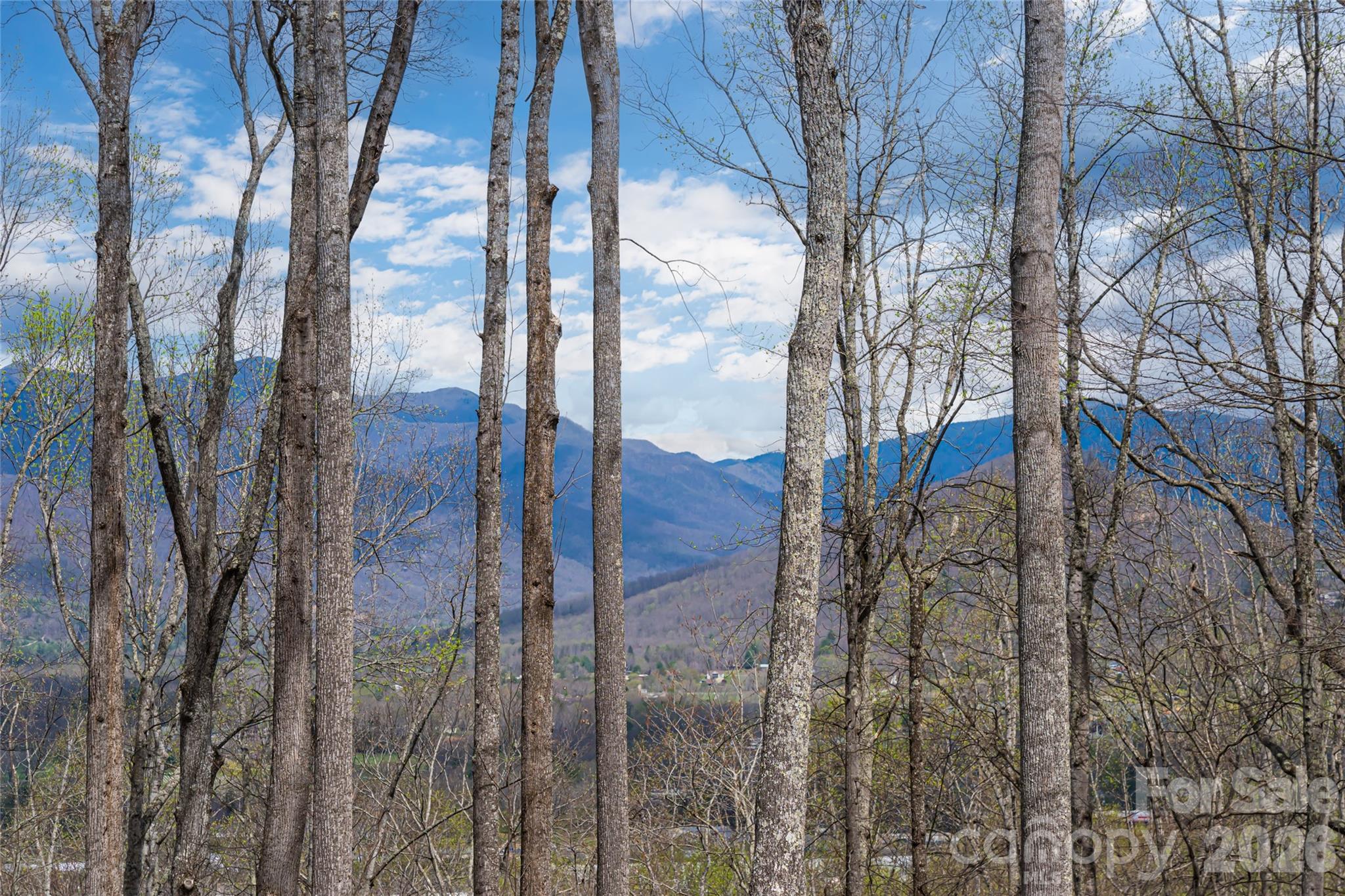 51 Summit Road Swannanoa NC 28778