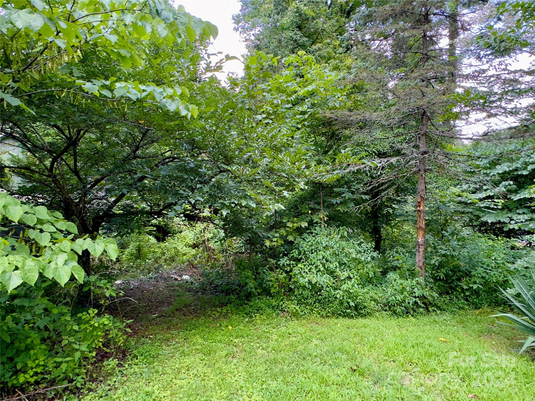 12 Mountain View Avenue Black Mountain NC 28711