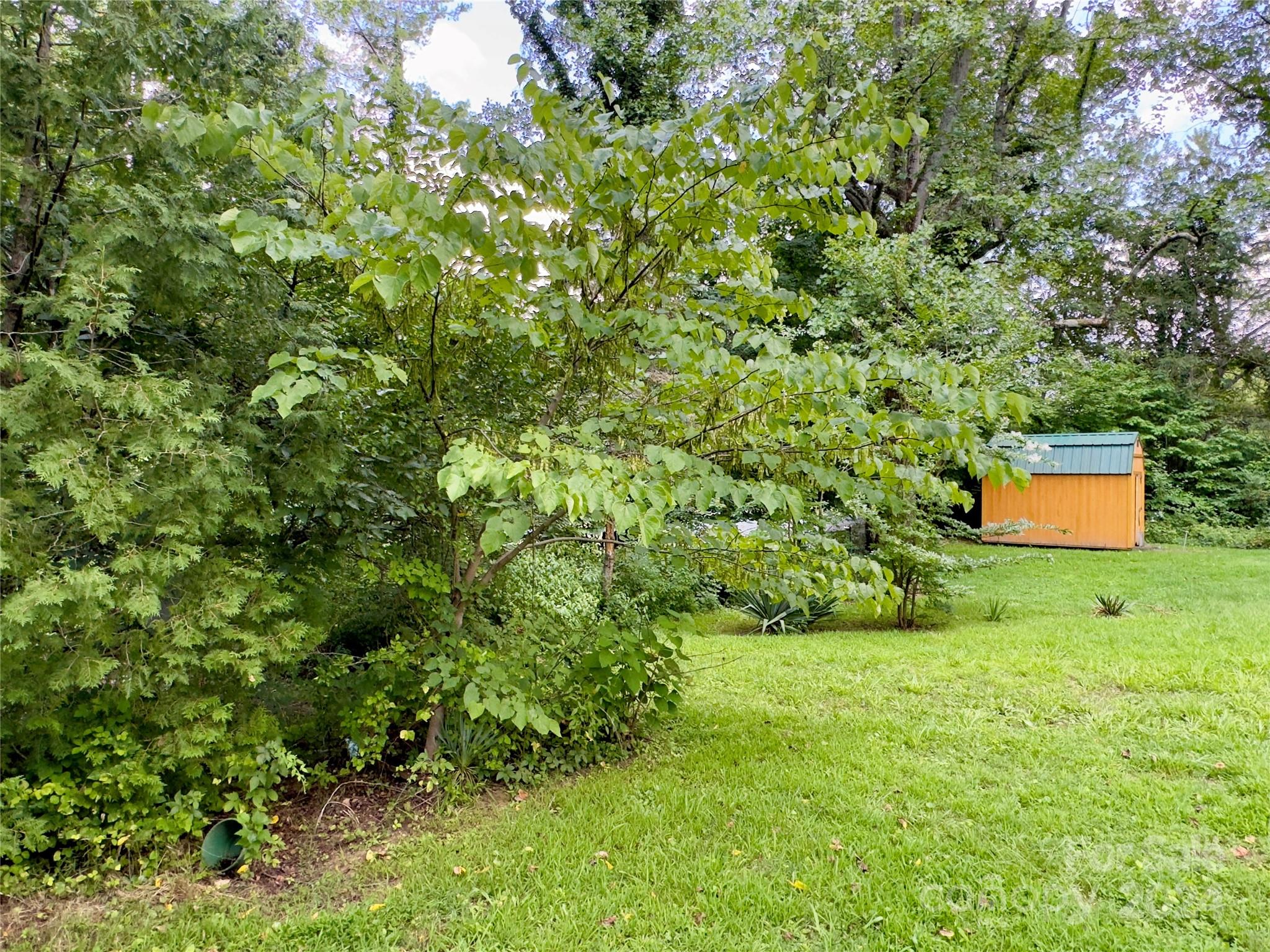 12 Mountain View Avenue Black Mountain NC 28711