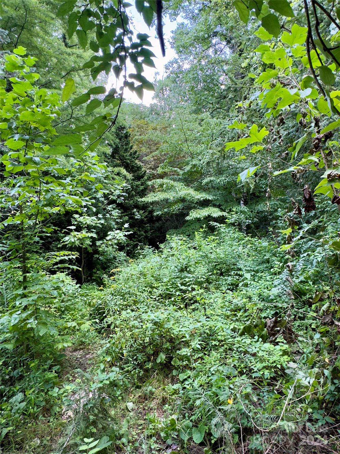 12 Mountain View Avenue Black Mountain NC 28711