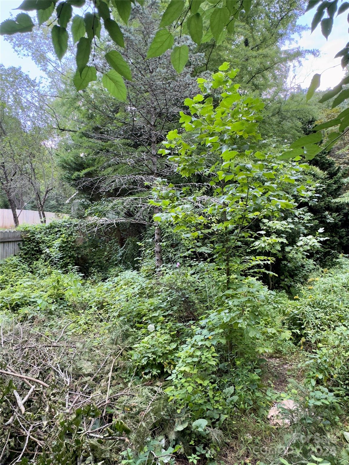 12 Mountain View Avenue Black Mountain NC 28711