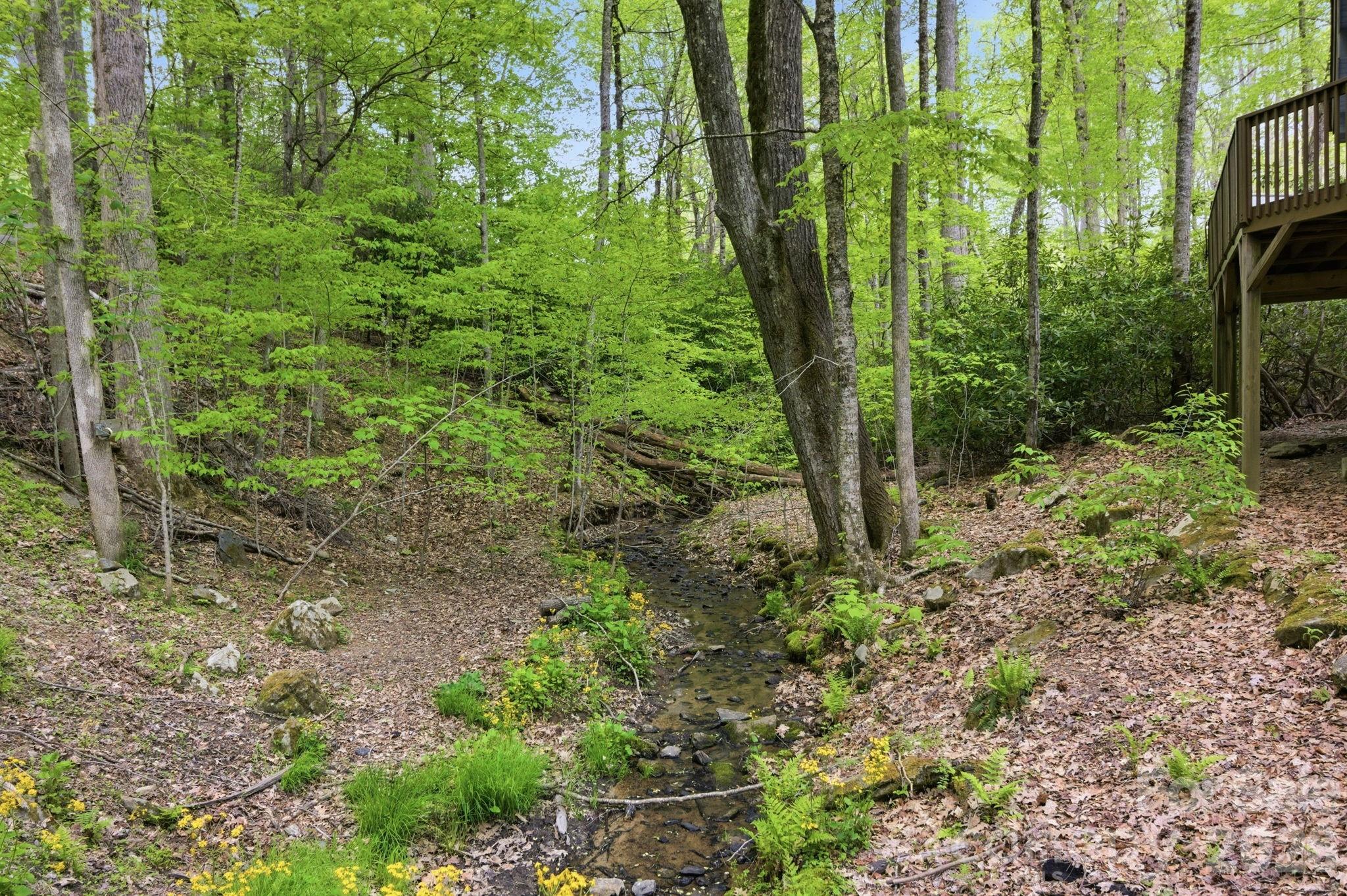 401 Saratoga Boone NC 28607