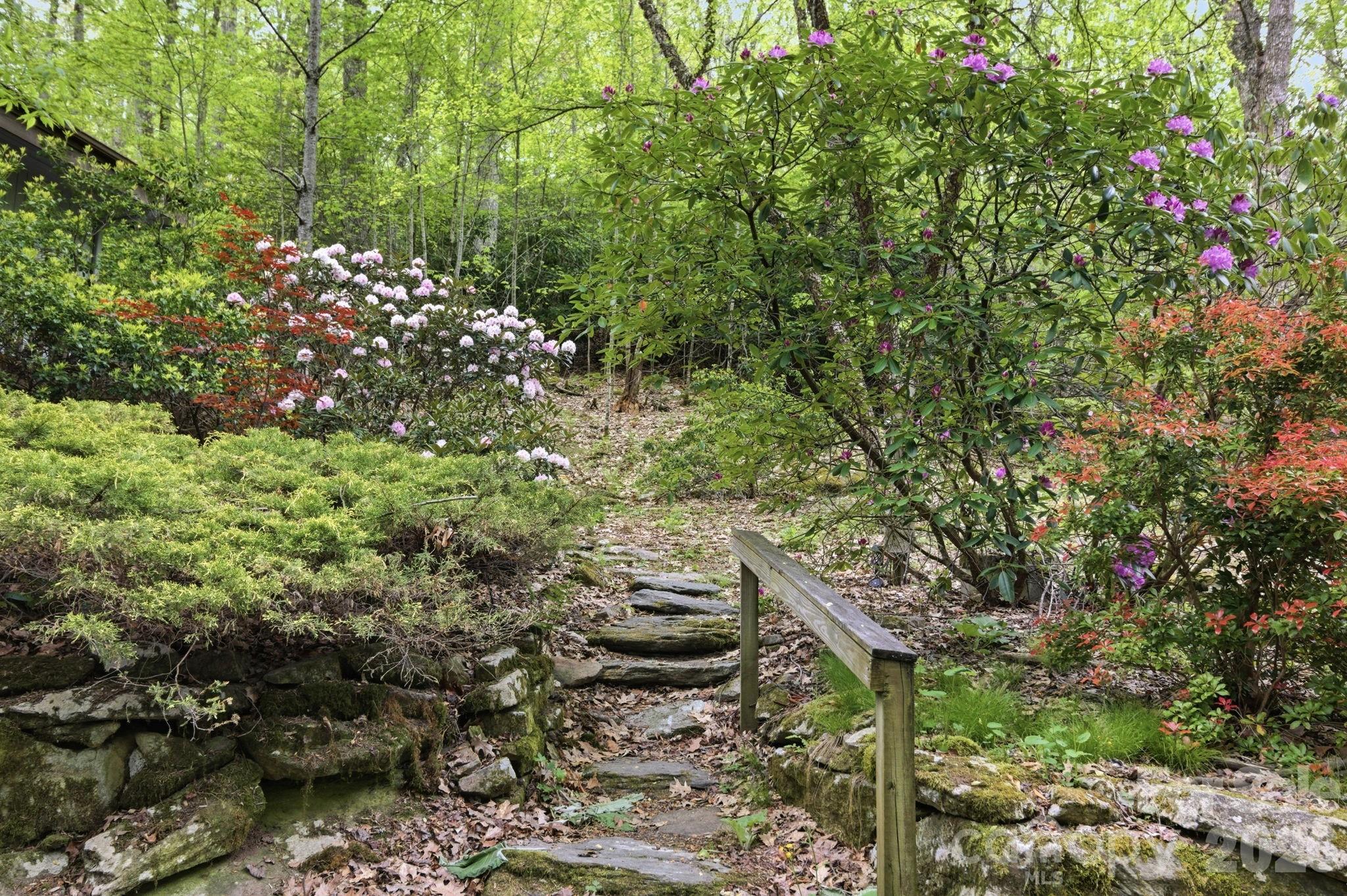 401 Saratoga Boone NC 28607
