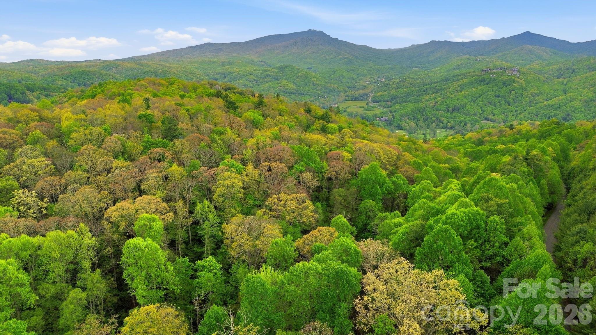 401 Saratoga Boone NC 28607