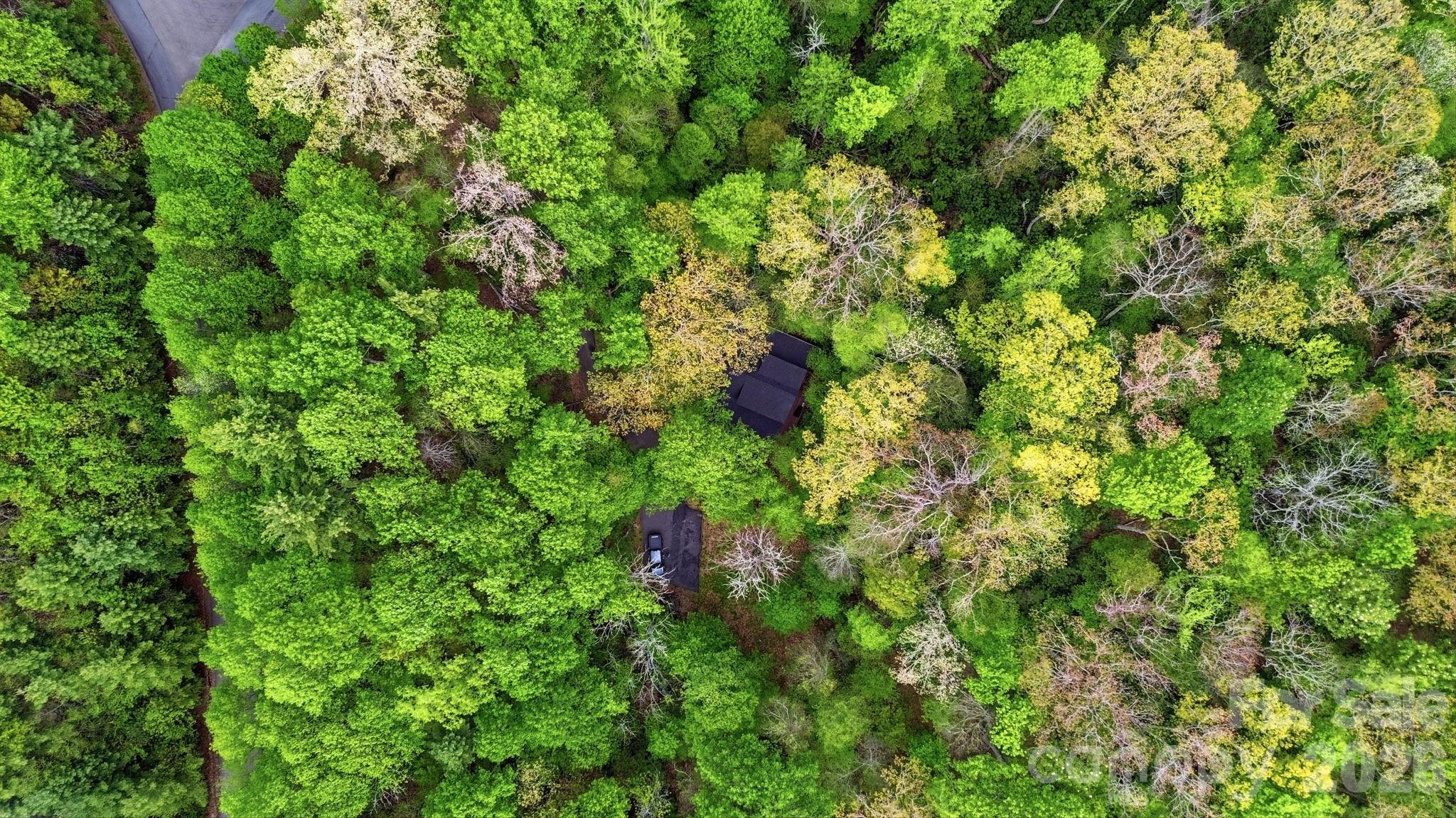 401 Saratoga Boone NC 28607