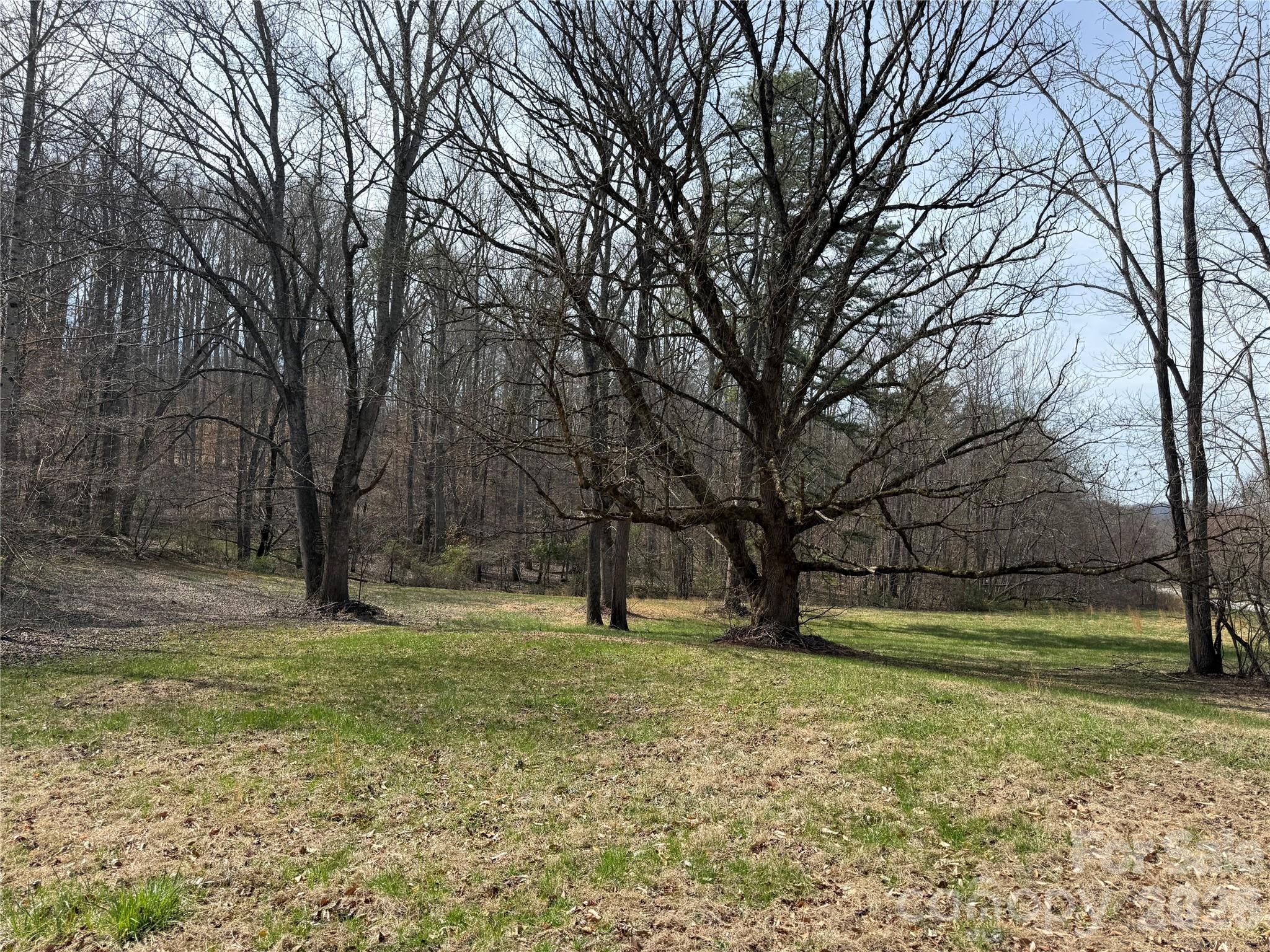 57 N Fork Road Barnardsville NC 28709