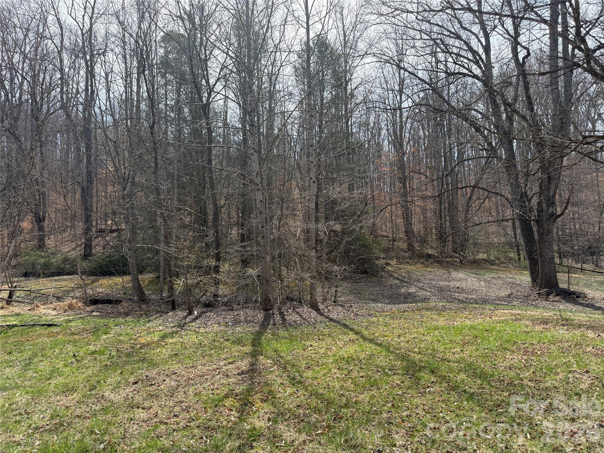 57 N Fork Road Barnardsville NC 28709