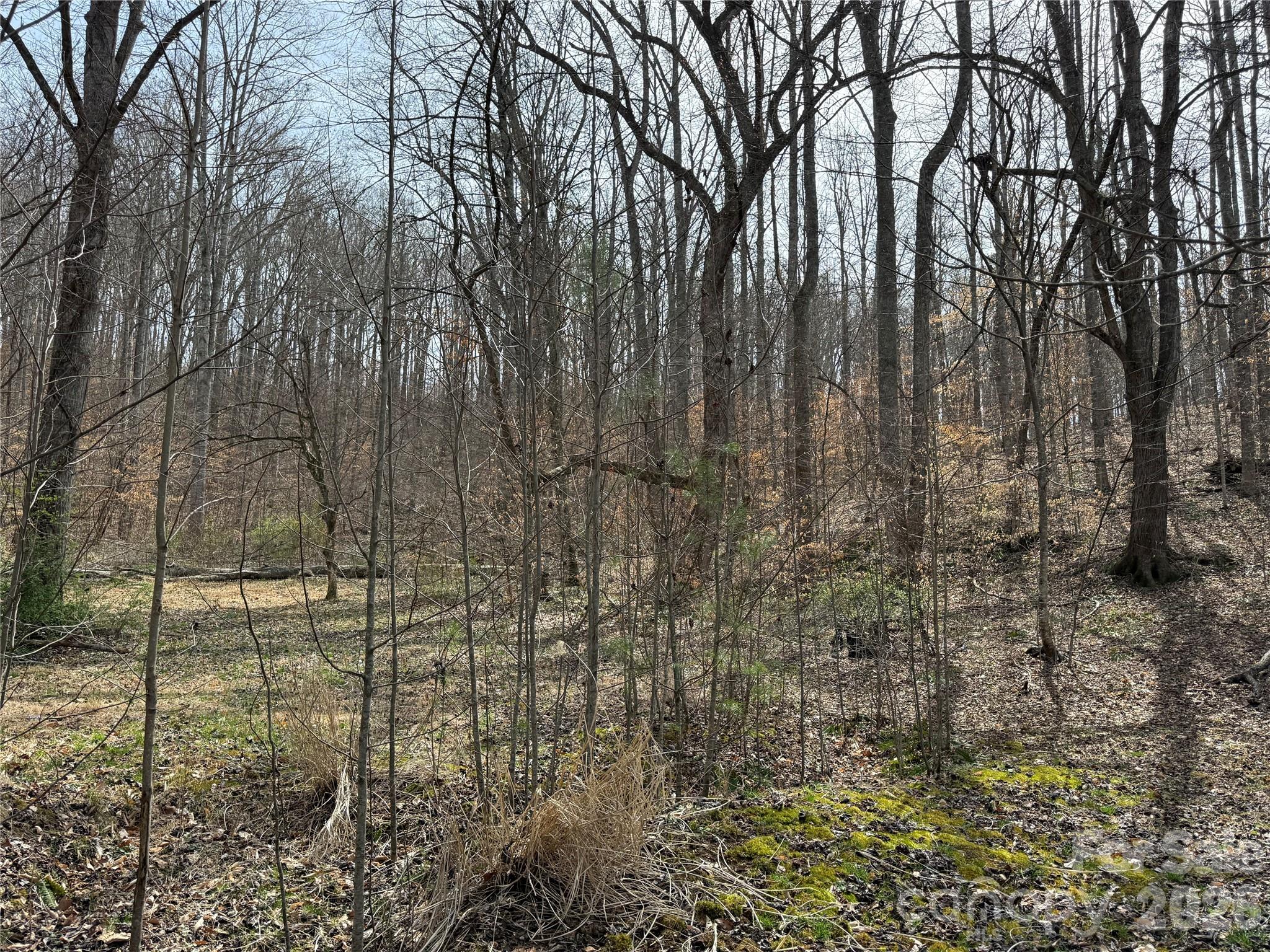57 N Fork Road Barnardsville NC 28709