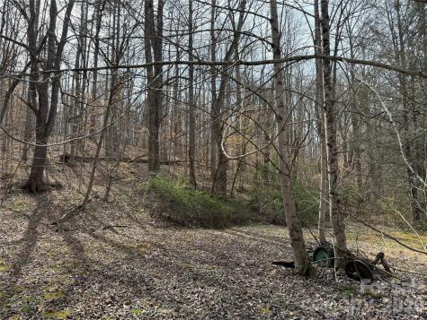 57 N Fork Road Barnardsville NC 28709