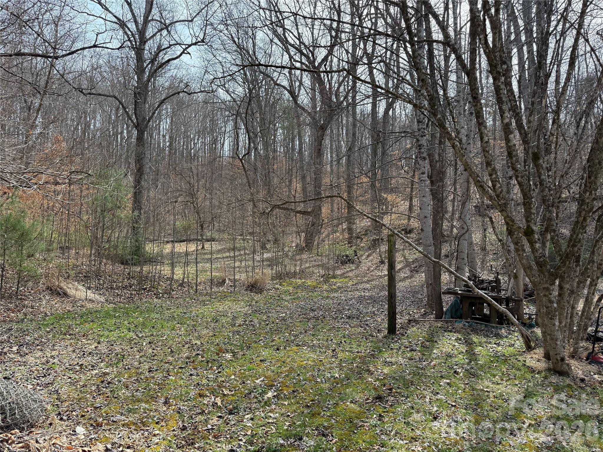 57 N Fork Road Barnardsville NC 28709