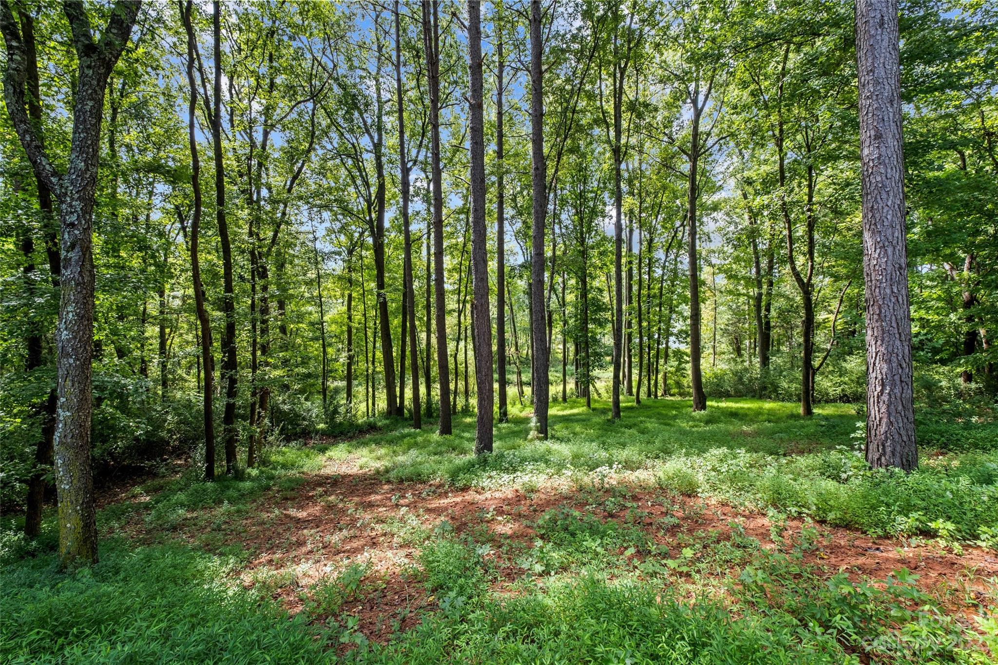 8810 Windygap Road Charlotte NC 28278
