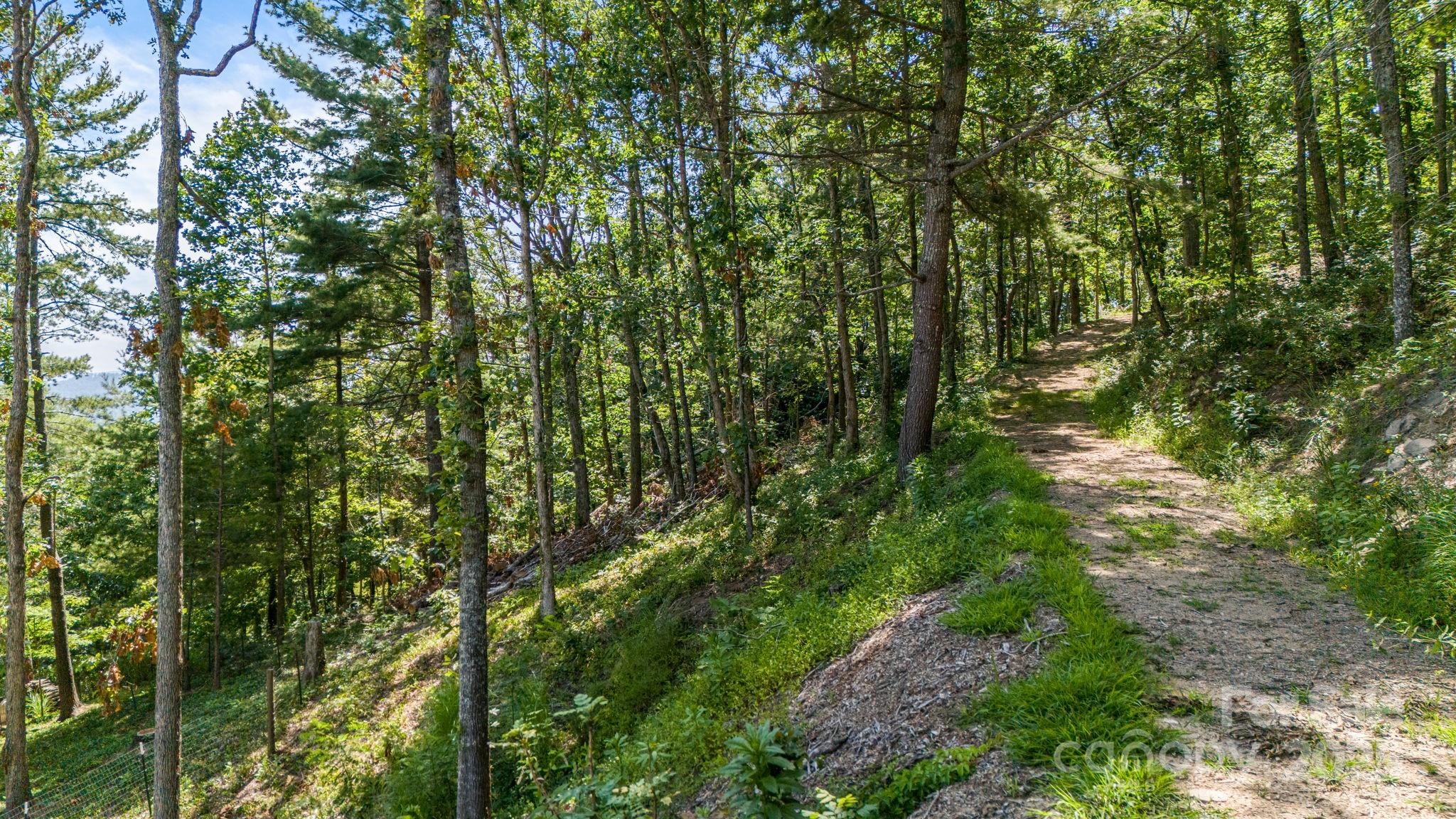 92 Hamburg Mountain Road Weaverville NC 28787