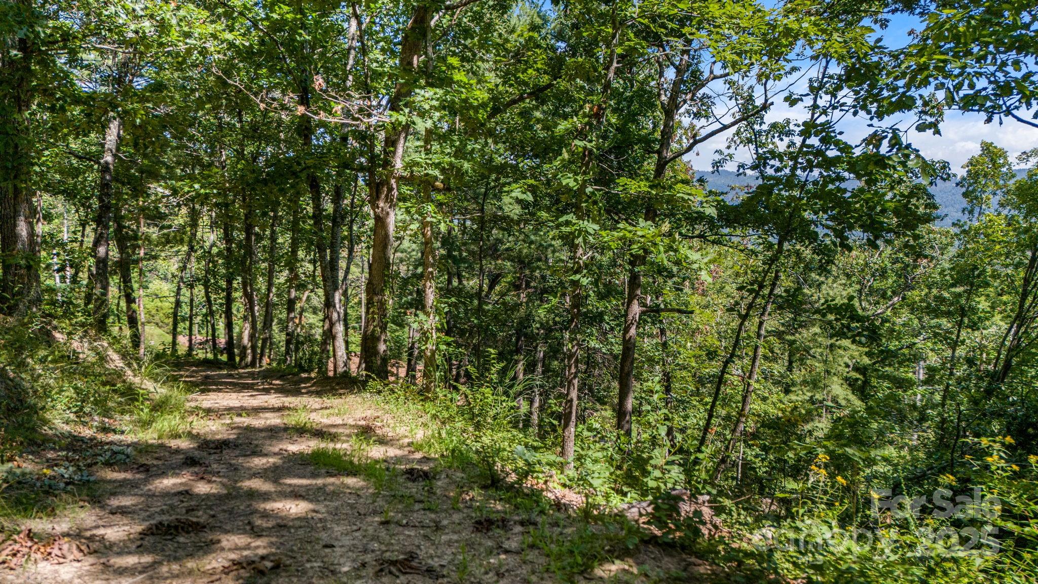 92 Hamburg Mountain Road Weaverville NC 28787