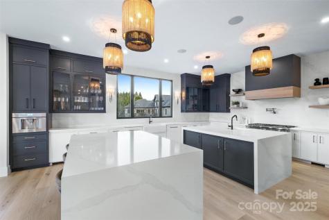 17235 Connor Quay Court Cornelius NC 28031