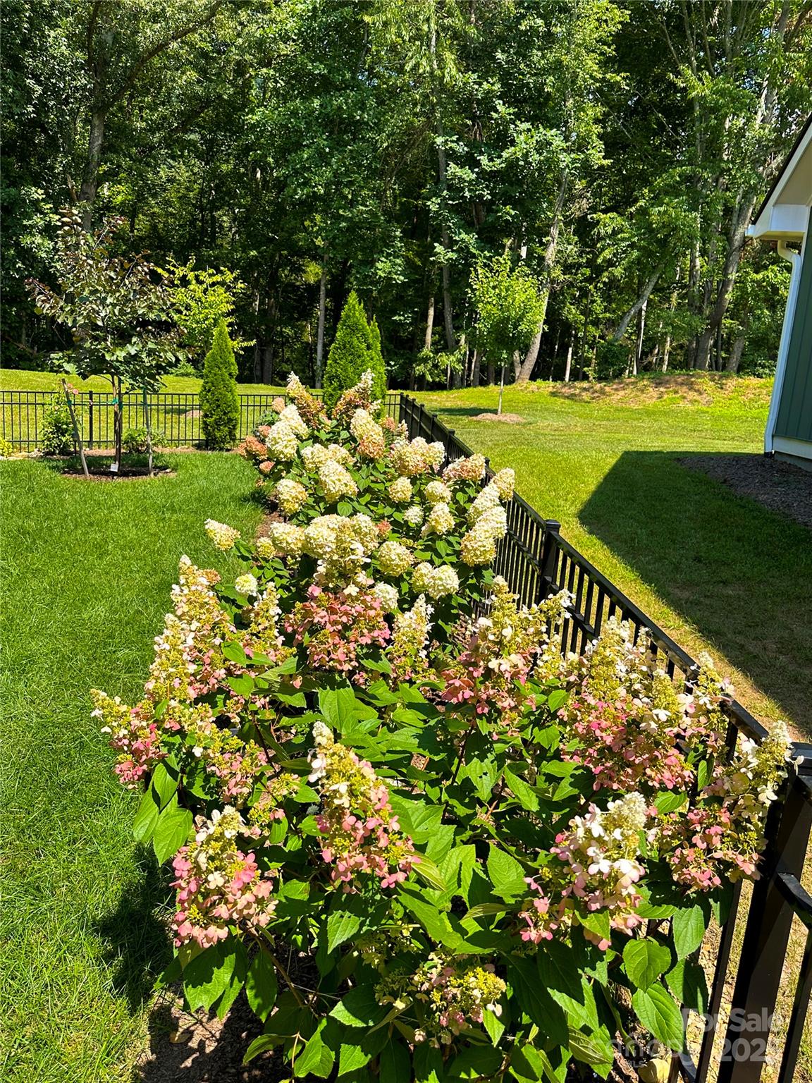 31 Cozy Cottage Way Arden NC 28704