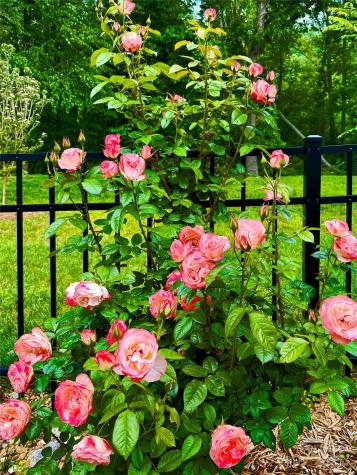 31 Cozy Cottage Way Arden NC 28704