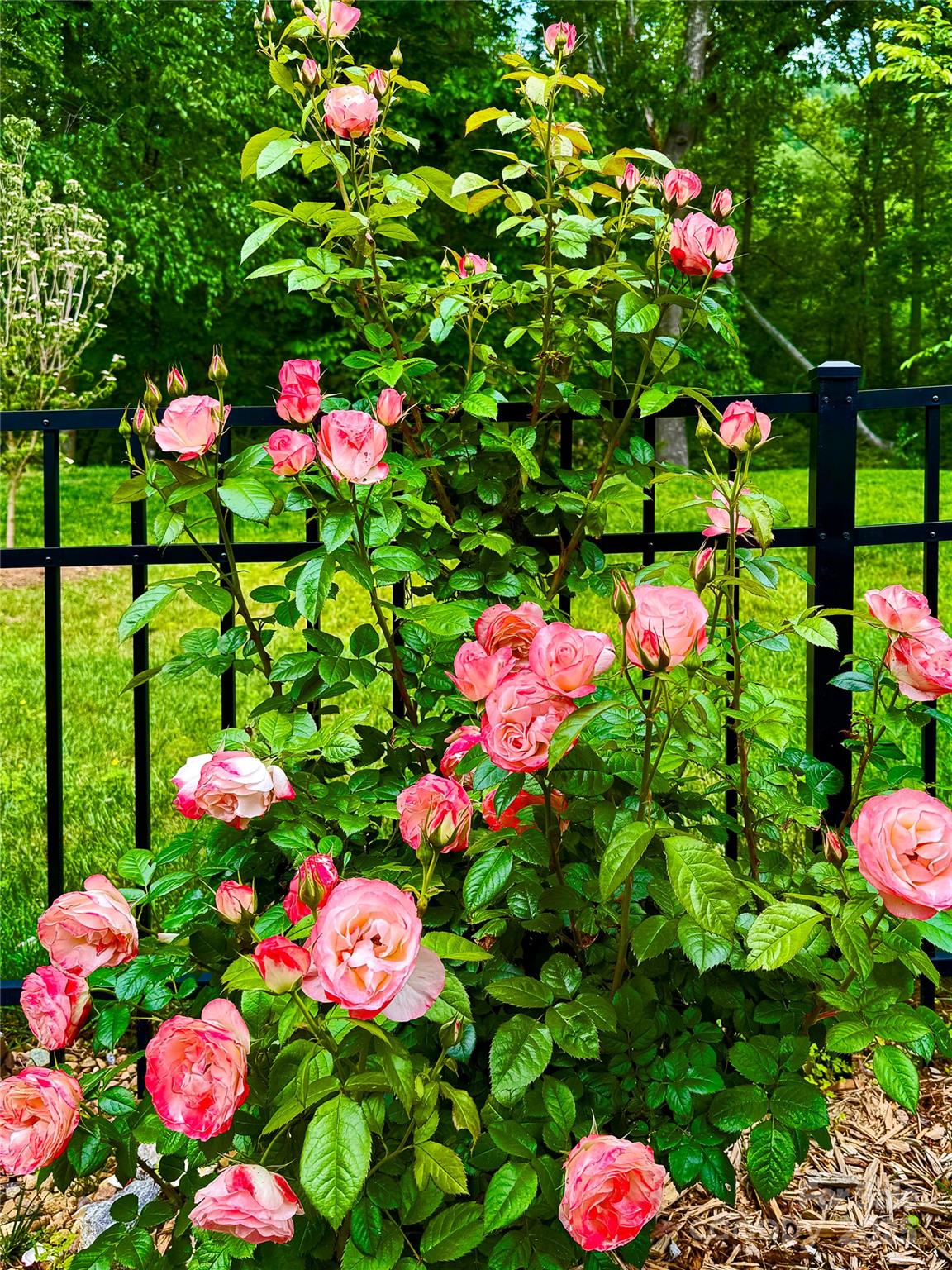 31 Cozy Cottage Way Arden NC 28704