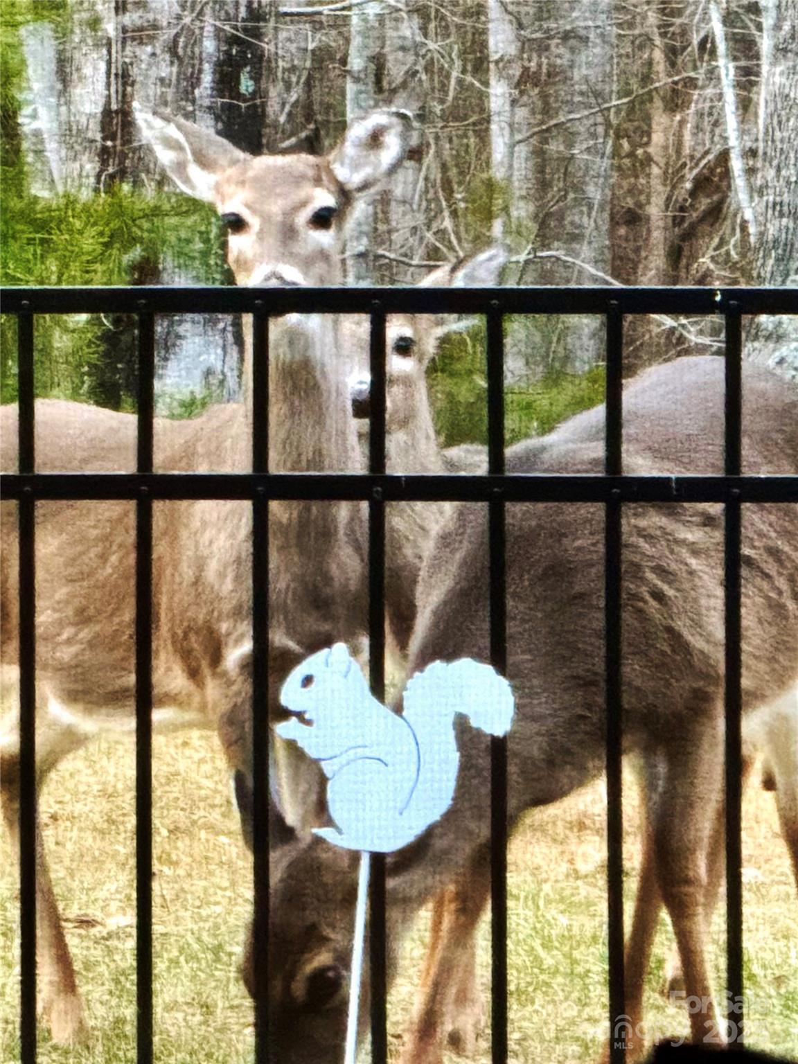 31 Cozy Cottage Way Arden NC 28704