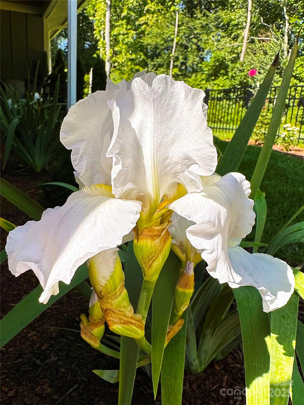 31 Cozy Cottage Way Arden NC 28704