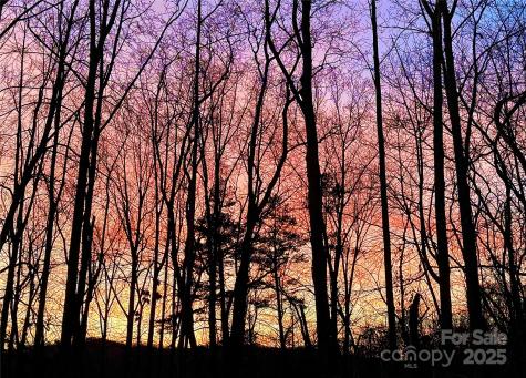 31 Cozy Cottage Way Arden NC 28704