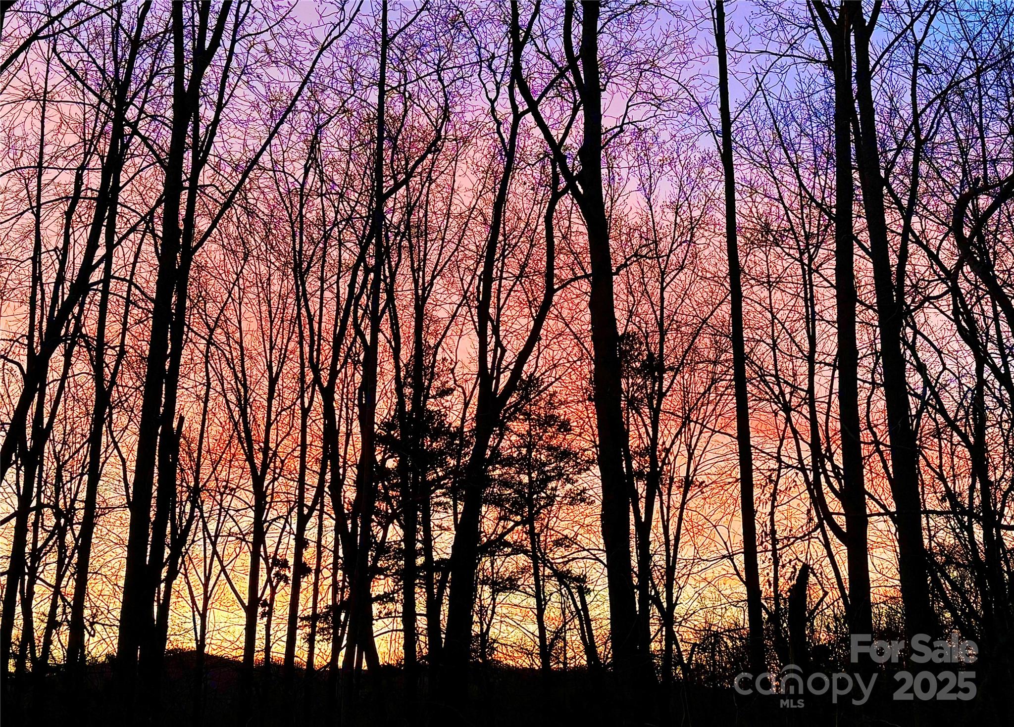 31 Cozy Cottage Way Arden NC 28704