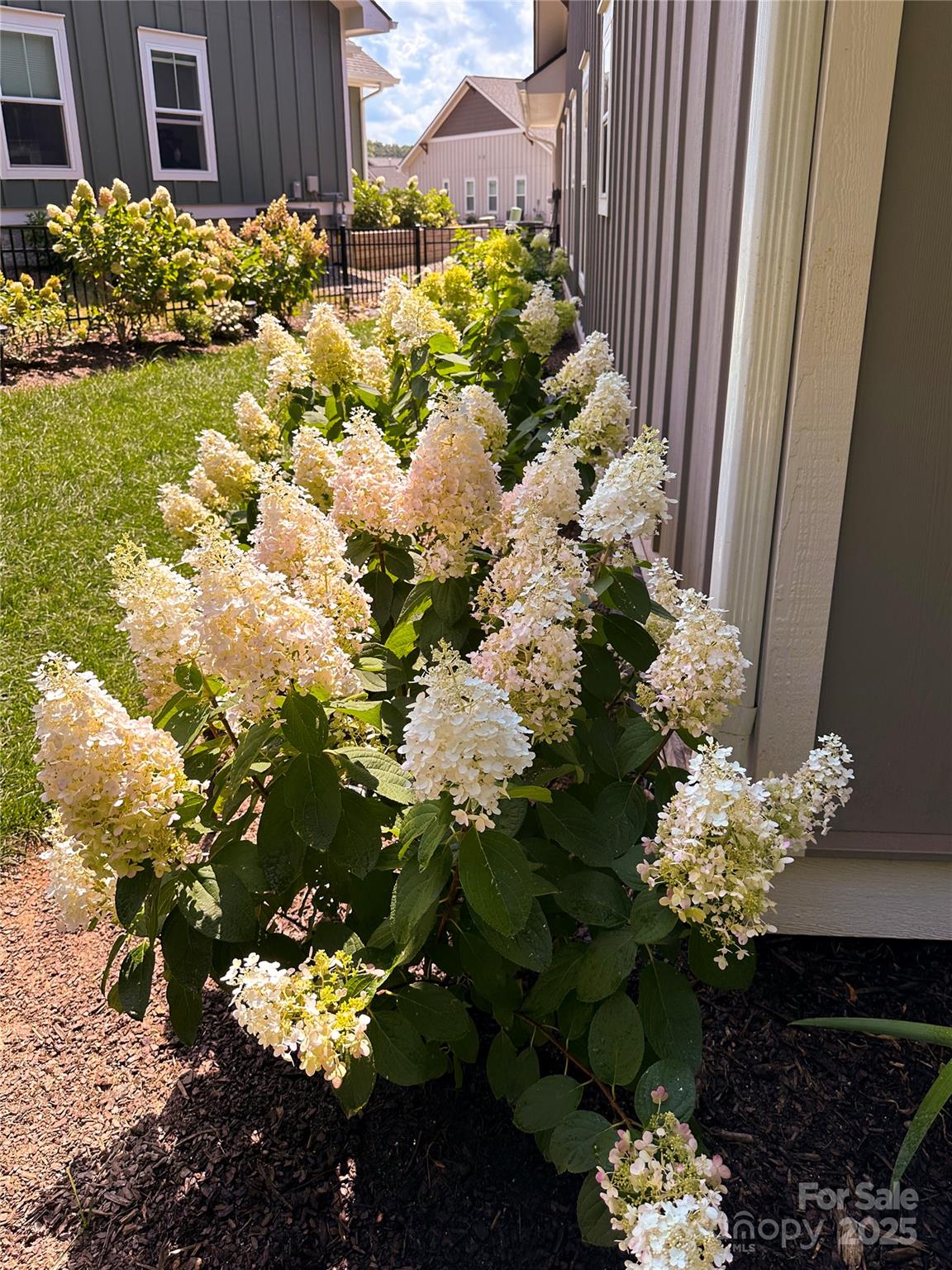 31 Cozy Cottage Way Arden NC 28704