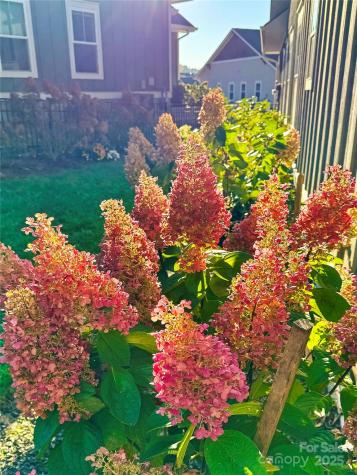 31 Cozy Cottage Way Arden NC 28704