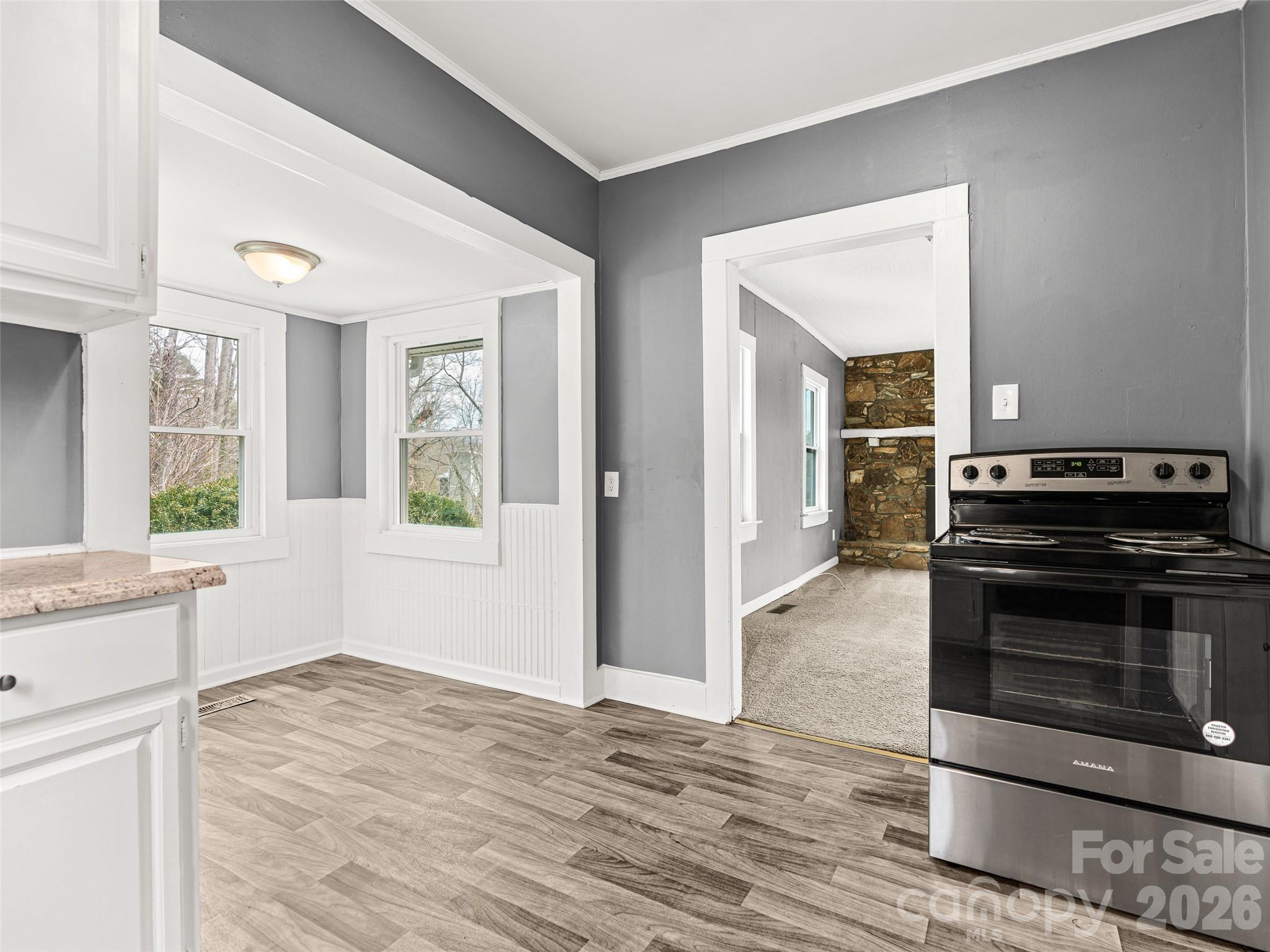 15 Woodbine Road Asheville NC 28804