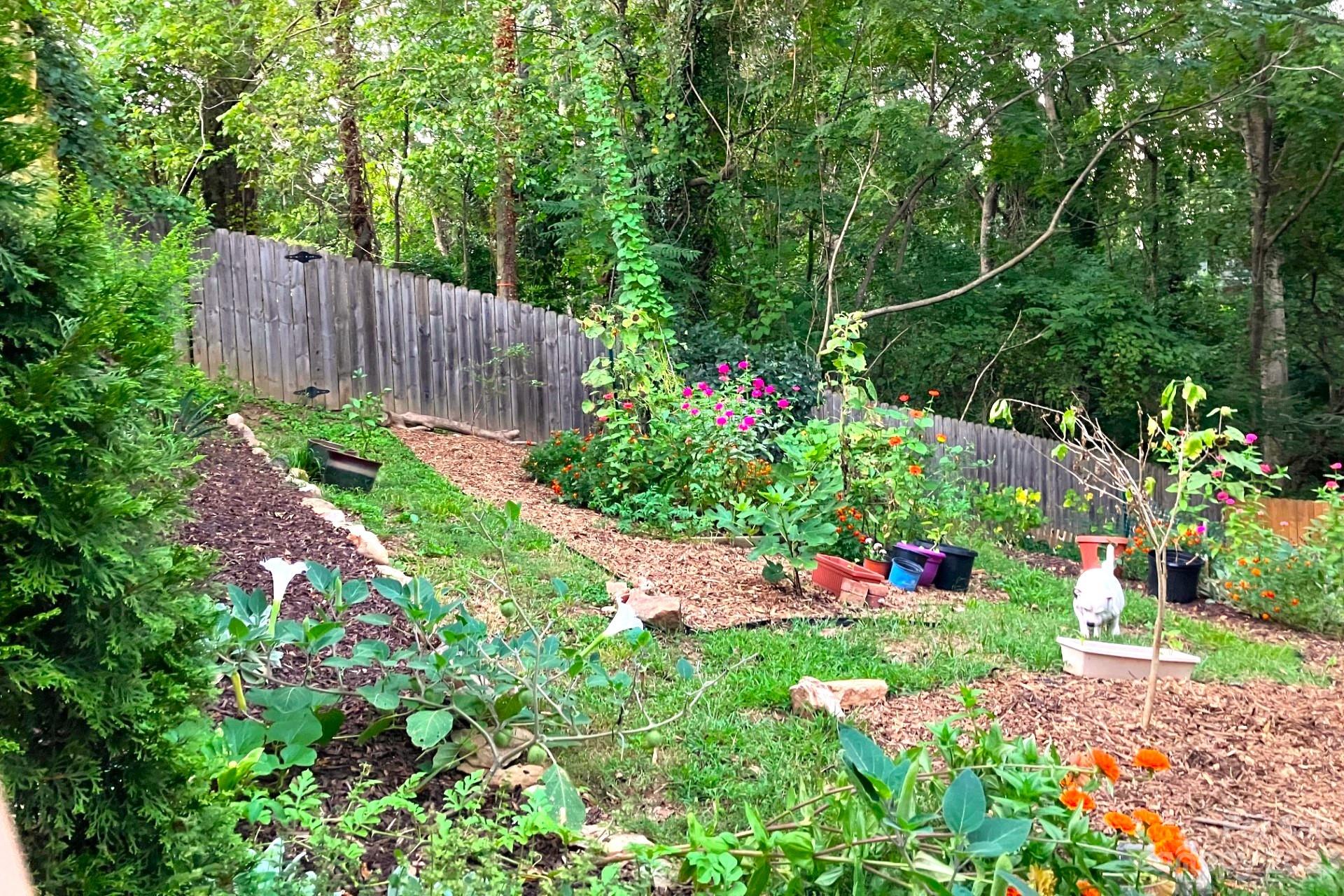 10 Lilac Street Asheville NC 28806