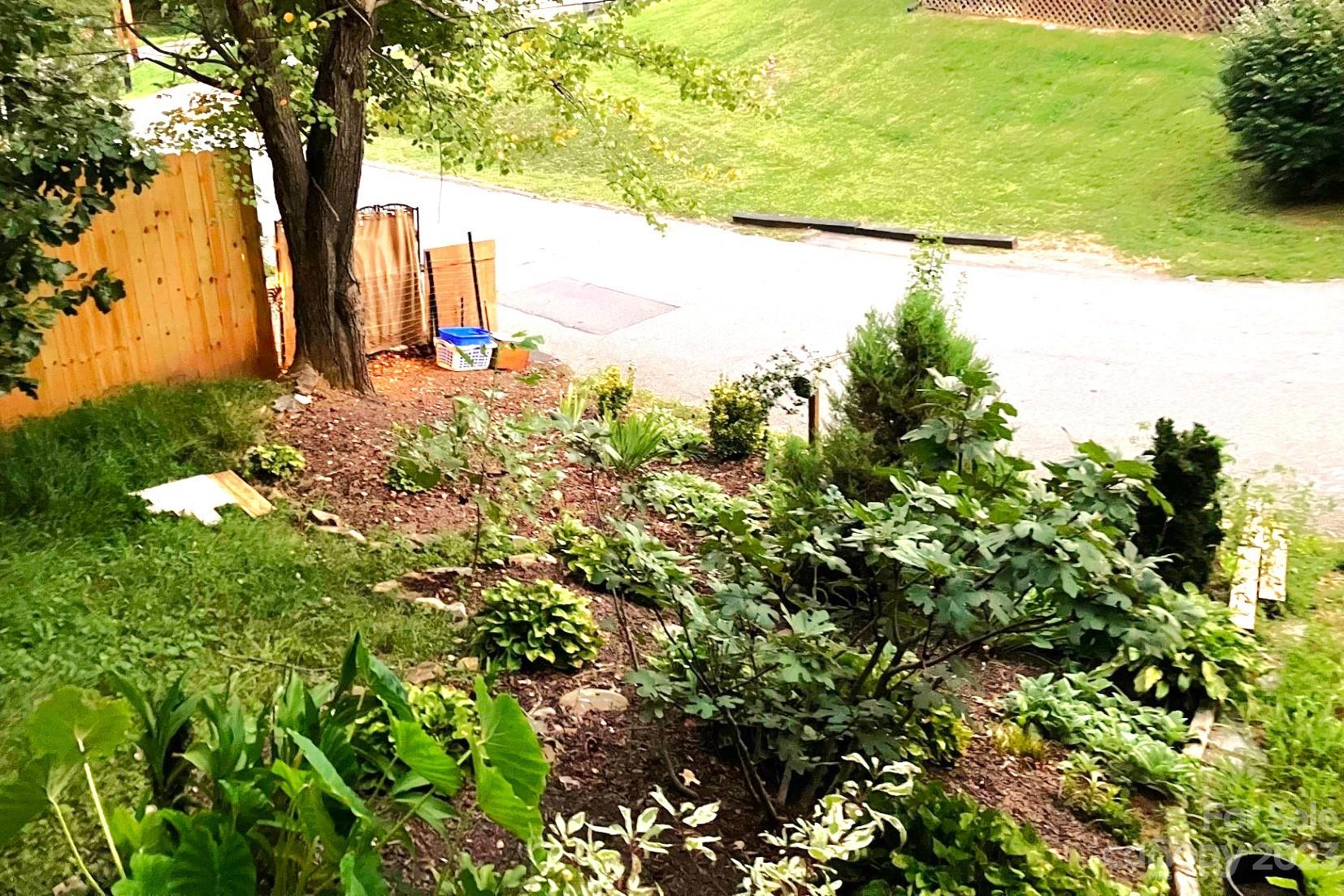 10 Lilac Street Asheville NC 28806