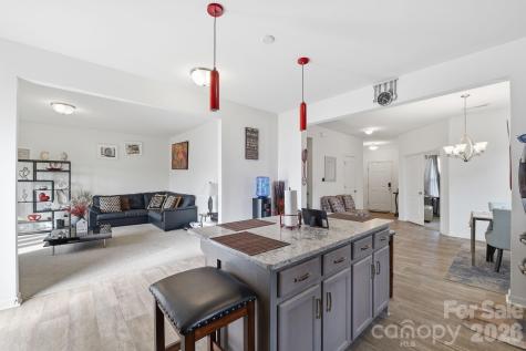 5126 Saddleback Drive Mount Holly NC 28120