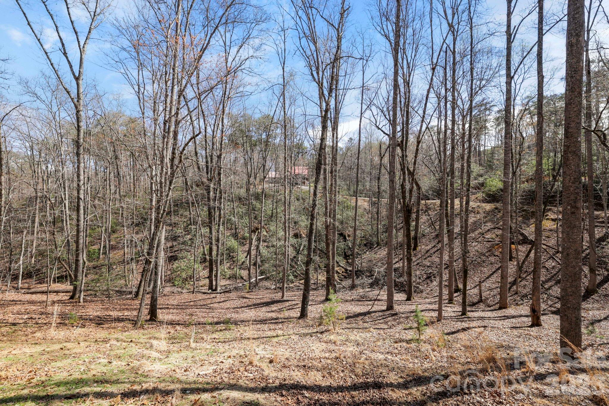344 Wolf Trail Lake Lure NC 28746