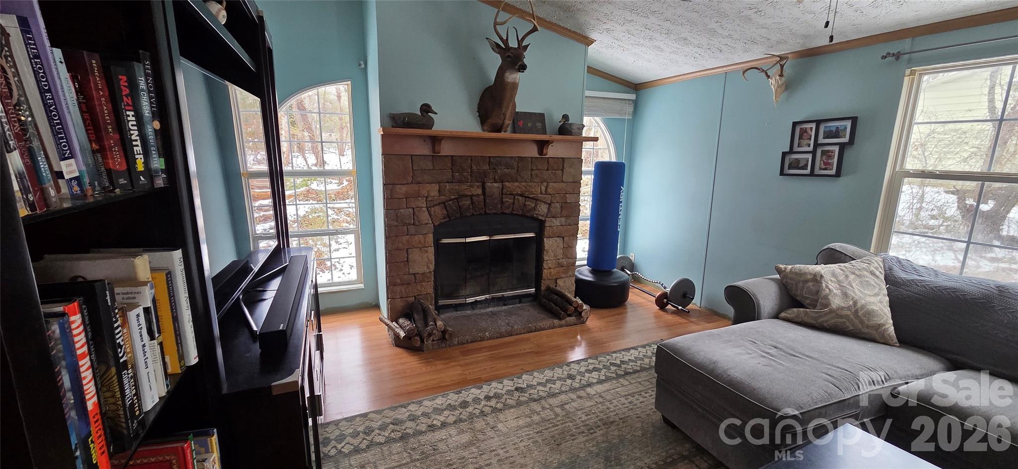 85 Vance Avenue Black Mountain NC 28711
