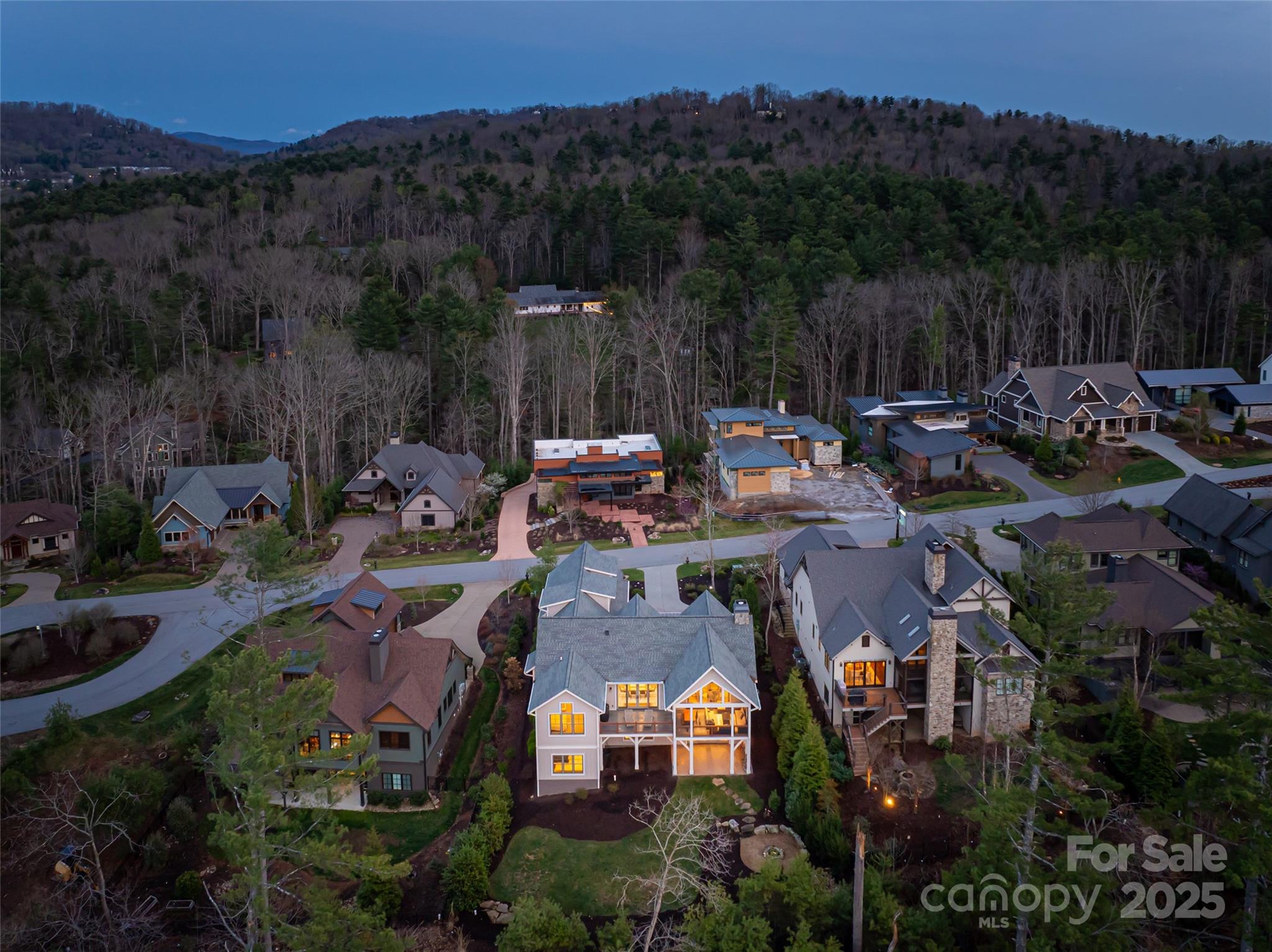 48 Hallett Court Asheville NC 28803