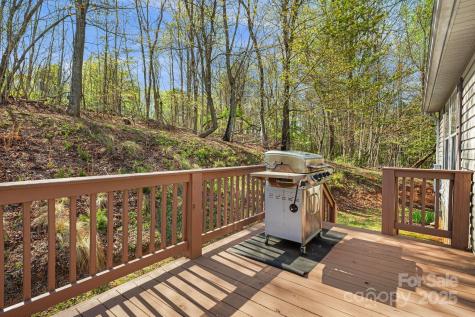 54 Golddigger Drive Candler NC 28715