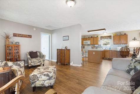 54 Golddigger Drive Candler NC 28715