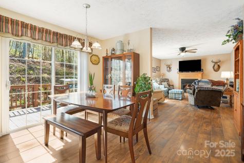 54 Golddigger Drive Candler NC 28715