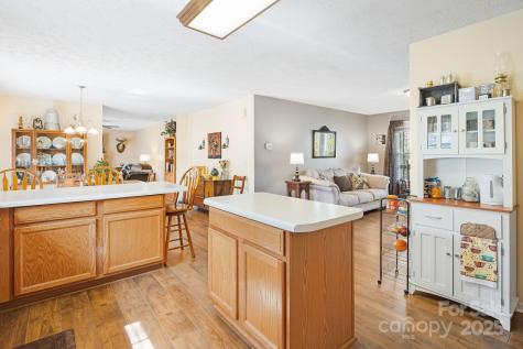 54 Golddigger Drive Candler NC 28715