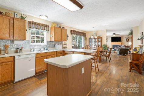 54 Golddigger Drive Candler NC 28715